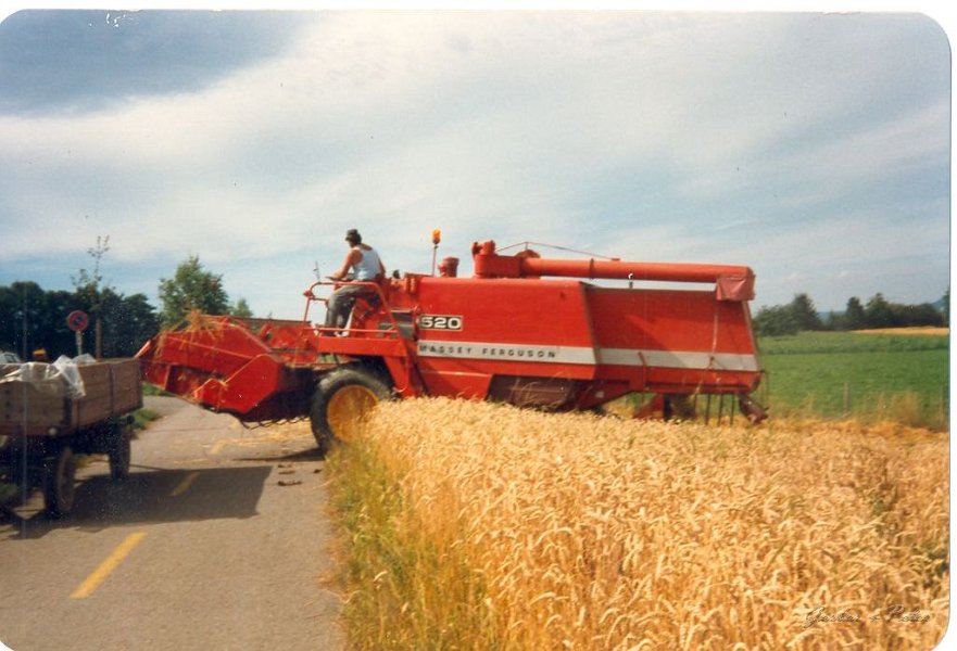 MF Drescher 13
